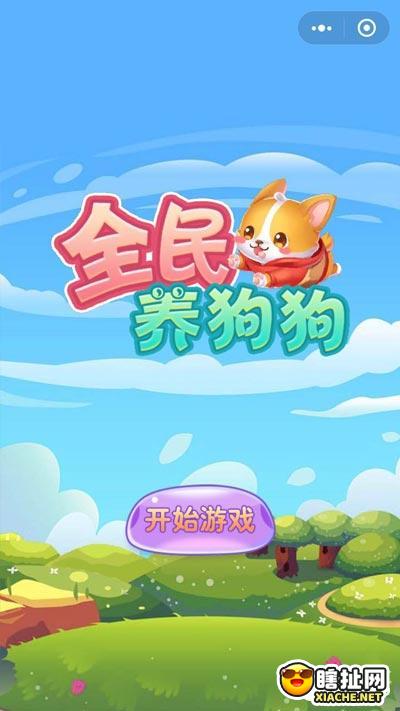 全民养狗狗